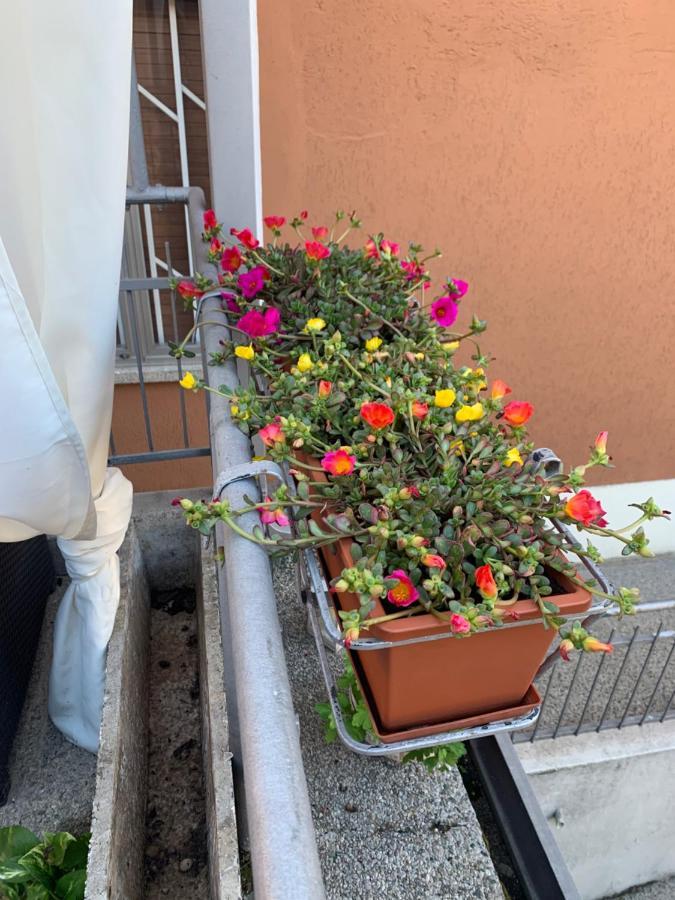 New Verona Business And Fun G B Rossi Friendly Ngoại thất bức ảnh